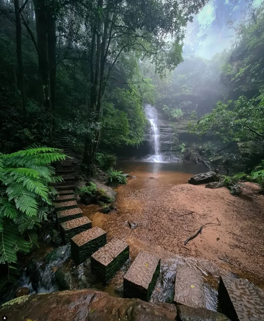 Blue Mountains National Park