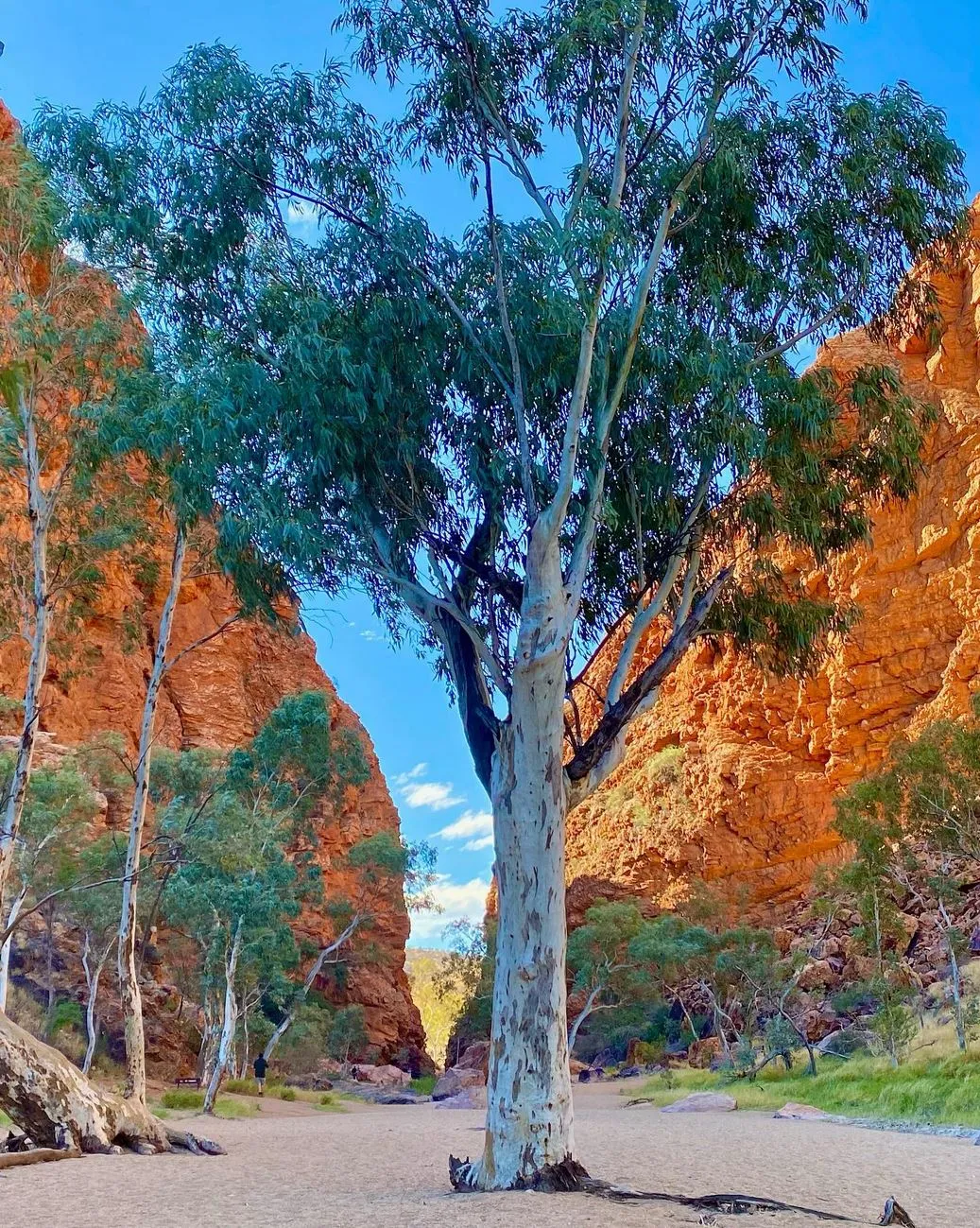 Supa Society | What Months Are Too Hot to Hike Around Alice Springs, and When Does the Heat Danger Peak? Common Heat Myths (and Why They’ll Get You in Trouble)