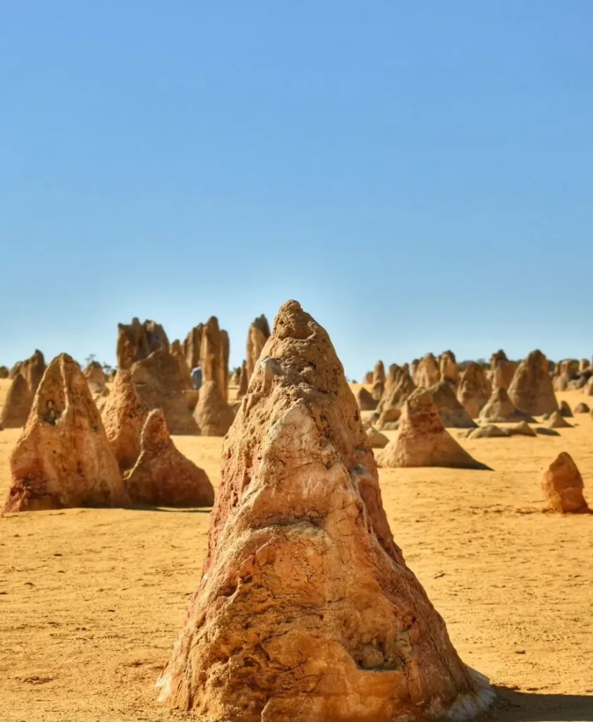 Pinnacles Desert