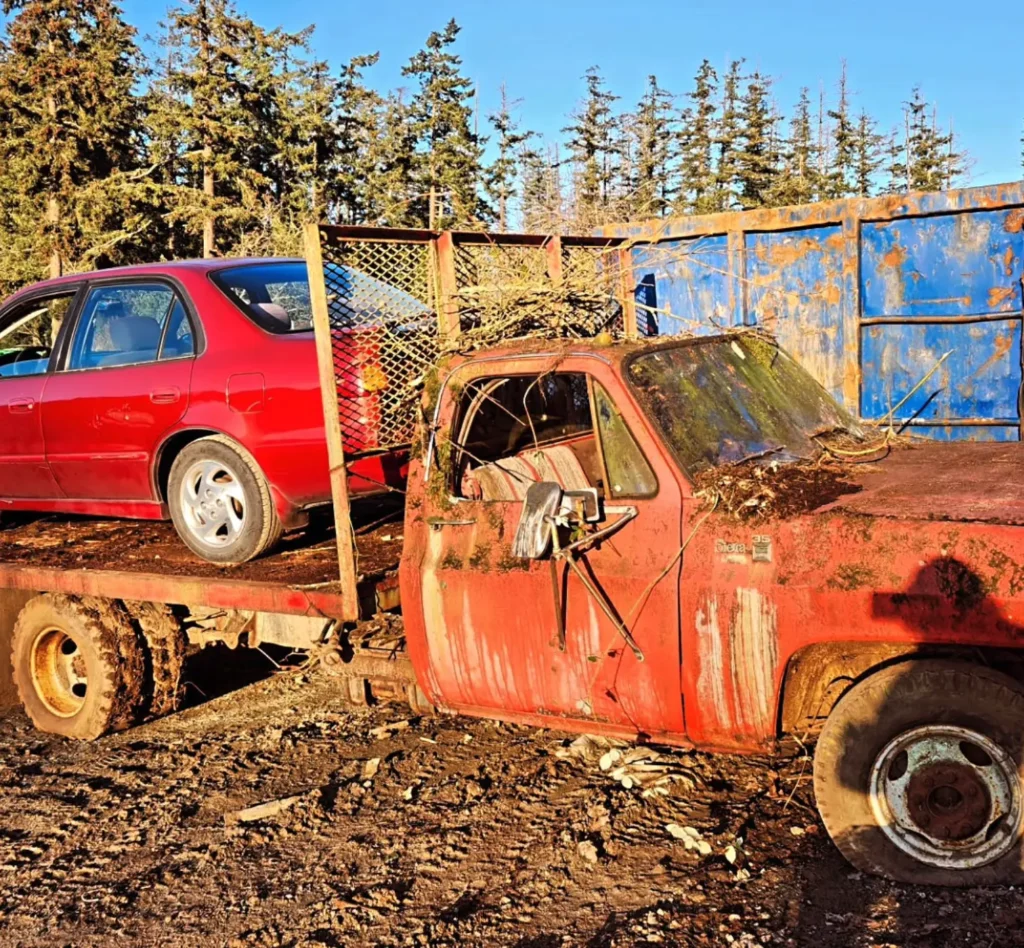 Watch for Dodgy Car Buyers