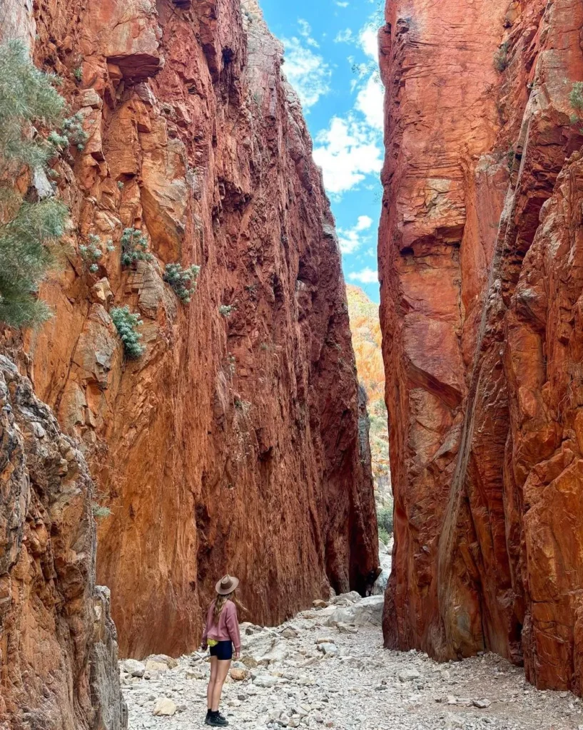 What Months Are Too Hot to Hike Around Alice Springs, and When Does the Heat Danger Peak