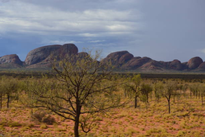 Supa Society | Exploring Australia's Stunning Natural Landmarks: From Reef to Rock